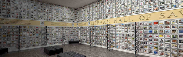 LifeVac Hall of Saves